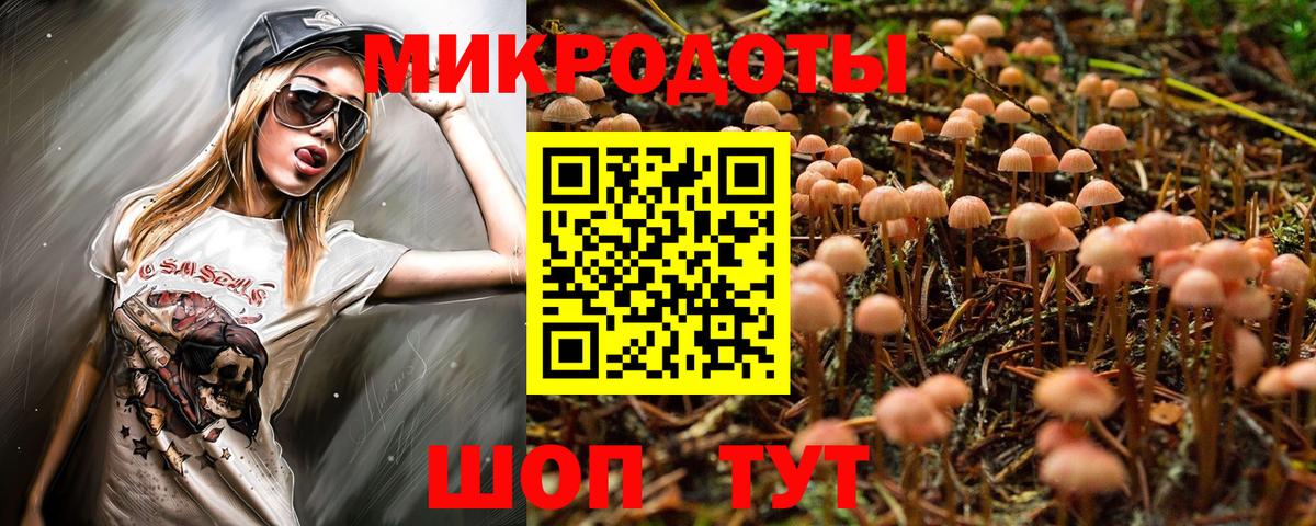 Псилоцибиновые грибы прущие грибы Гай
