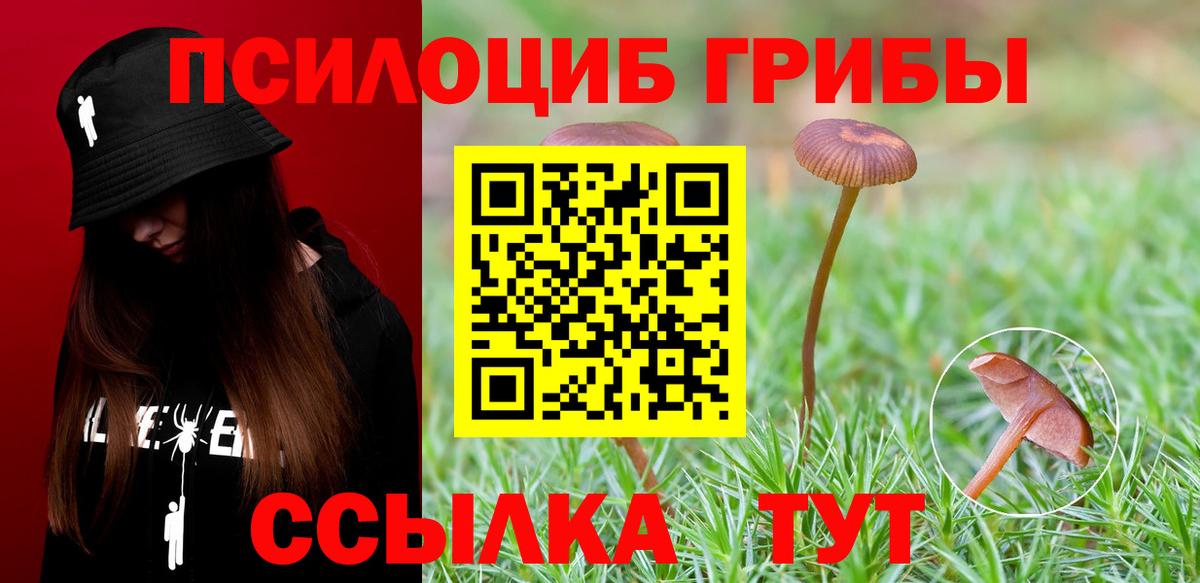 дарнет шоп  Вход с VPN  Гай  Псилоцибиновые грибы прущие грибы 